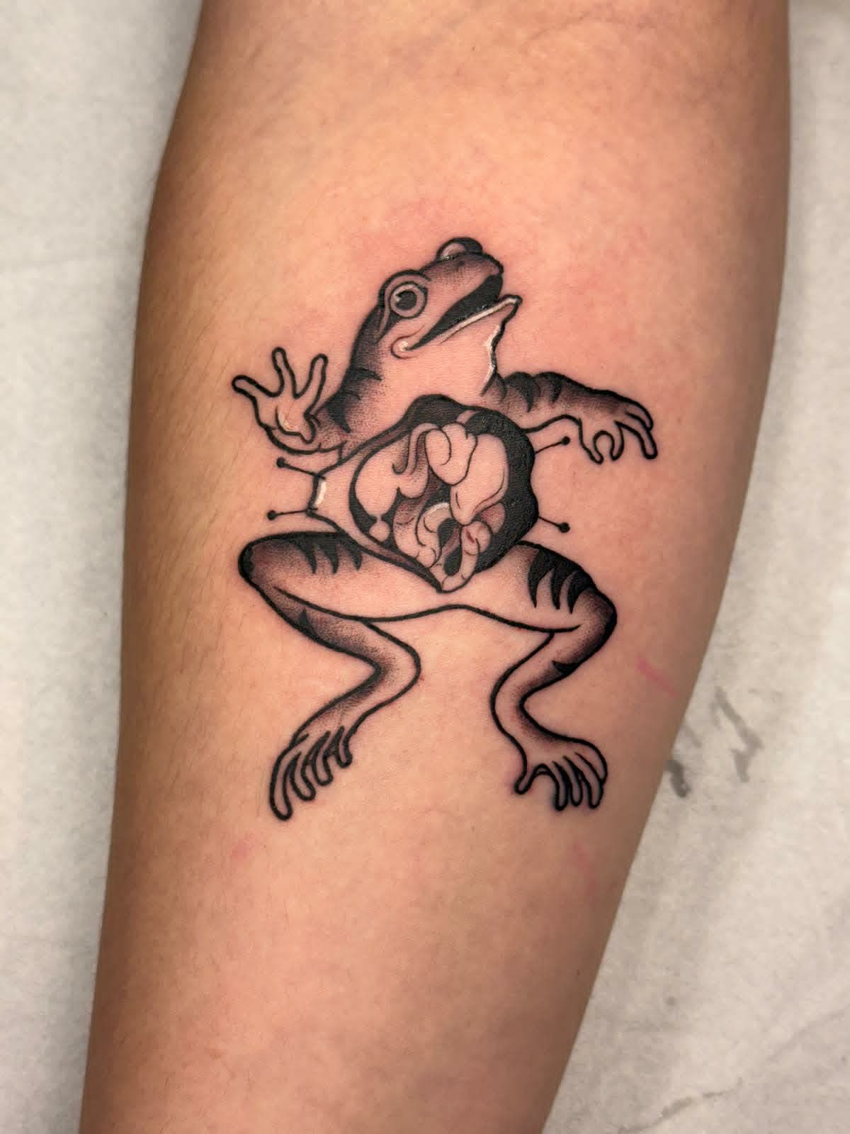 Anatomical Frog