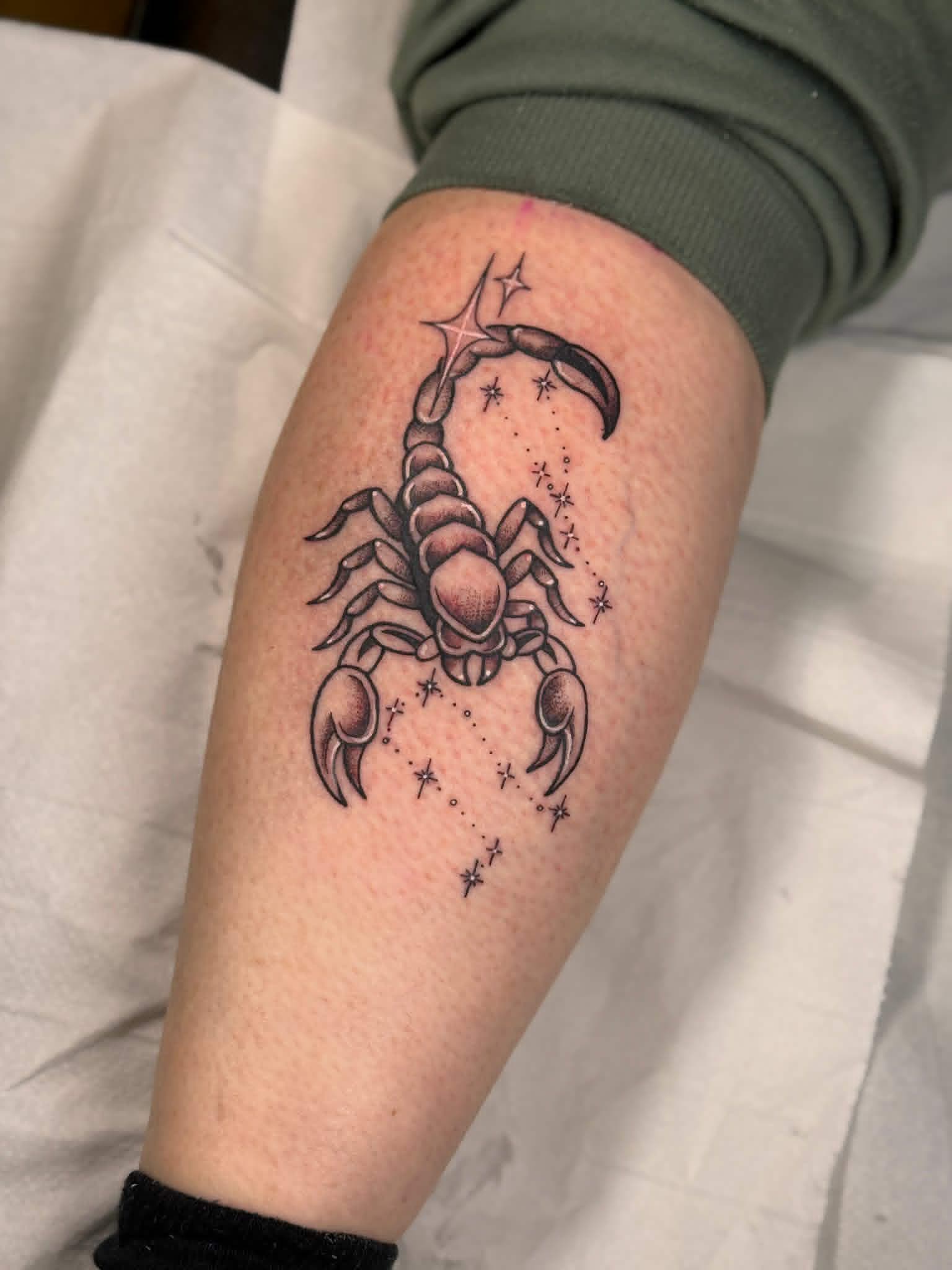 Scorpion Constellation