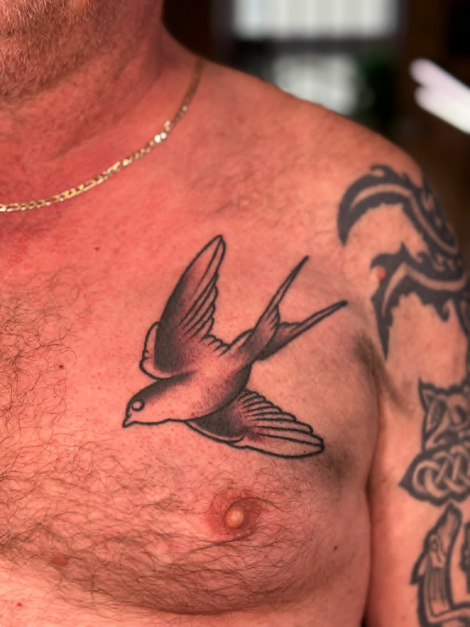 Traditional Swallow