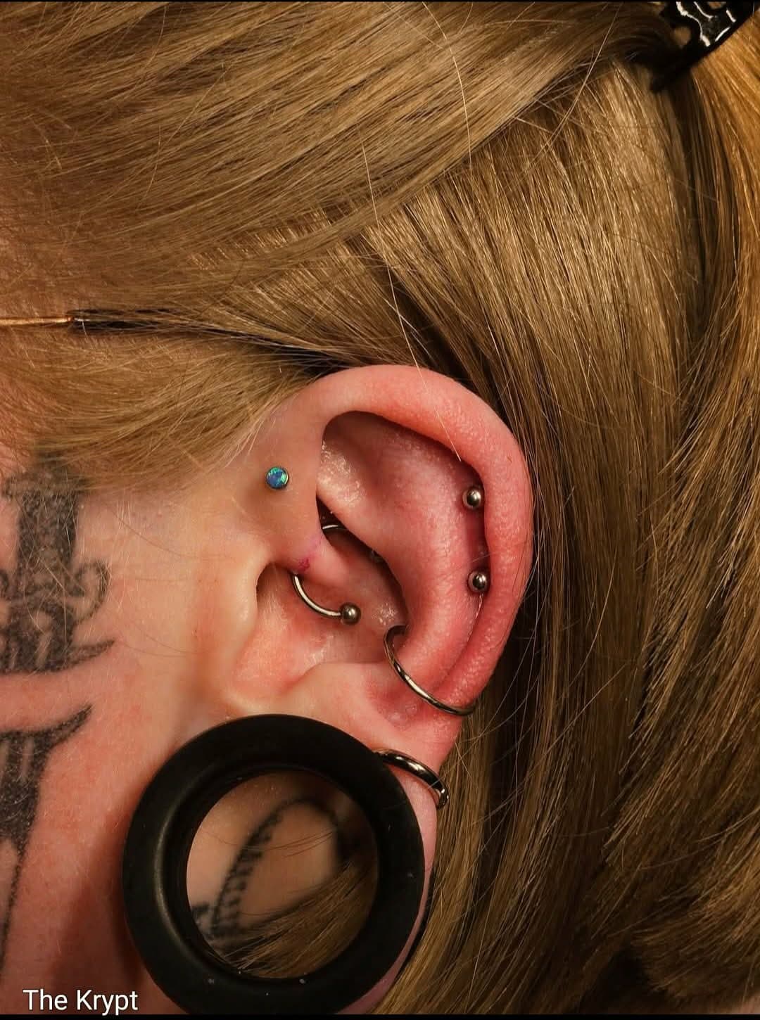 Ear Curation & Gauge